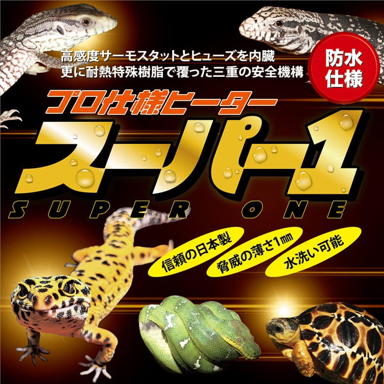 スーパー1シリーズ